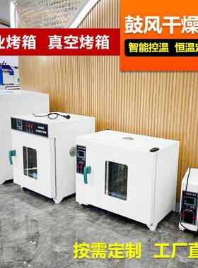 中药材金银花海鲜农副食品烘干机小型工业高温烤箱电热鼓风干燥箱
