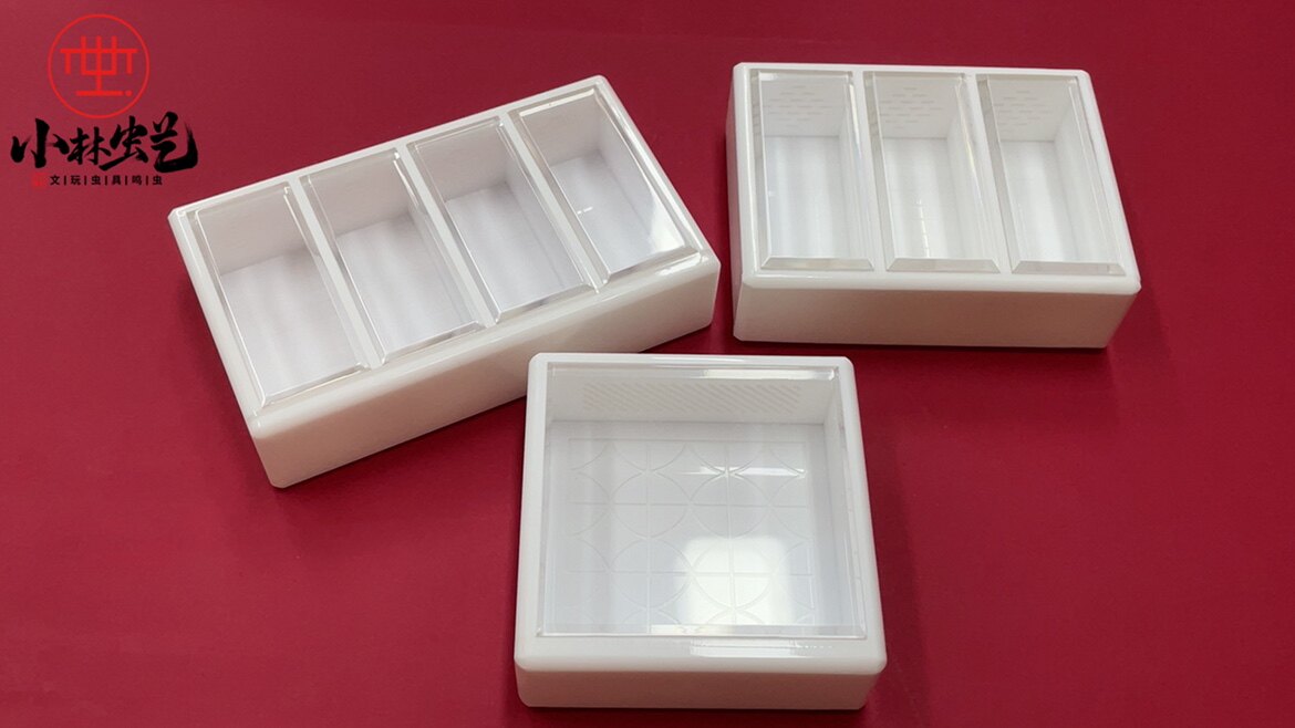 小林虫艺新到沪工有机盒实惠养竹蛉金钟黄蛉仙子马蛉麒麟电报蛉