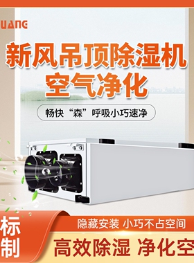 意柏朗大功率吊顶抽湿机商用别墅业吊顶式智能除湿机地下室除湿工