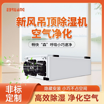 意柏朗大功率吊顶抽湿机商用别墅
