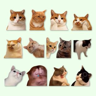 可爱搞笑MEME猫猫咪惊讶表情个性创意汽车车贴笔记本行李箱贴纸