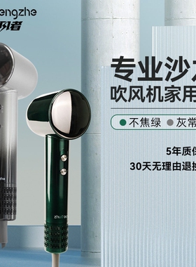 追风者吹风机家用负离子护发速干