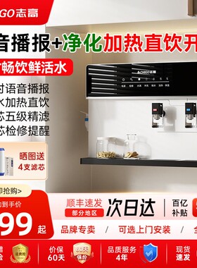 志高净水器家用直饮加热一体机厨