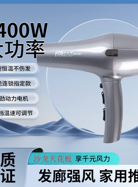 风大师8100诺德仕吹风机发型师负大功率理发店专用风筒离子2400W