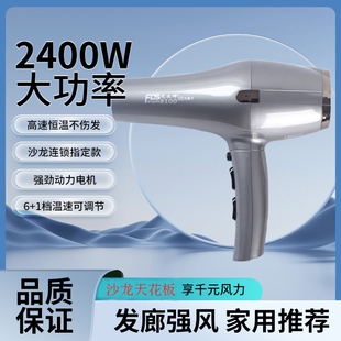 风大师8100诺德仕吹风机发型师负大功率理发店专用风筒离子2400W