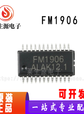 全新原装FM1906 贴片SSOP-24 低功耗3V-5V 13*4点阵LCD驱动IC芯片