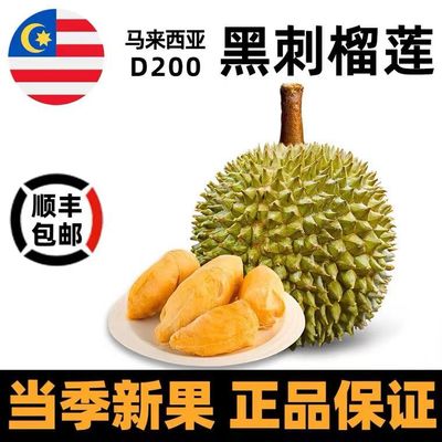马来西亚榴莲黑刺果肉黑刺D200