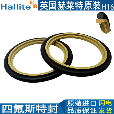 赫莱特HALLITE英国四氟组合油封