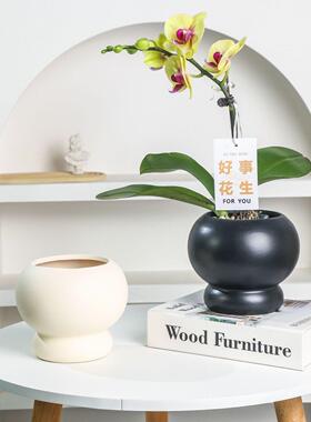 寂宅风蝴蝶兰圆球花盆套盆高脚兰花盆透气家用客厅卧室高级带托盘