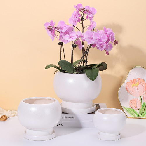 陶瓷轻奢风马卡龙色蝴蝶兰花盆