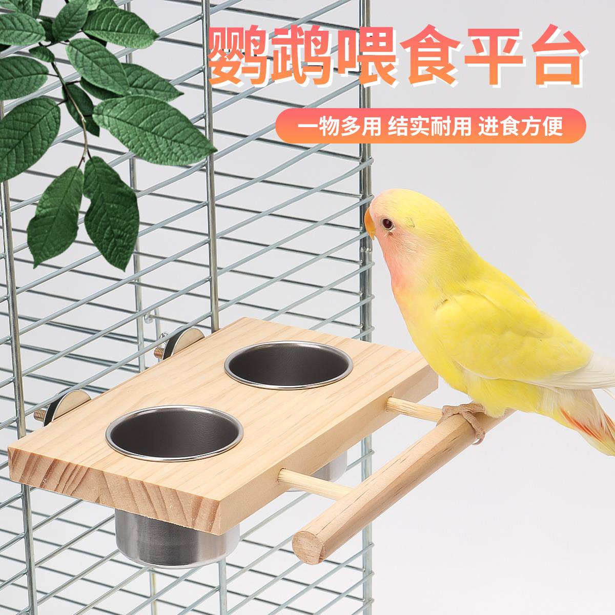 小太阳鹦鹉站架不锈钢鸟食杯站杆图片