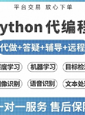 代码python编程深度学习机器学习人工智能代码编写跑通讲解调试