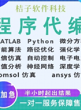 matlab代编程序代码帮做Python神经网络深度学习复现算法模型求解