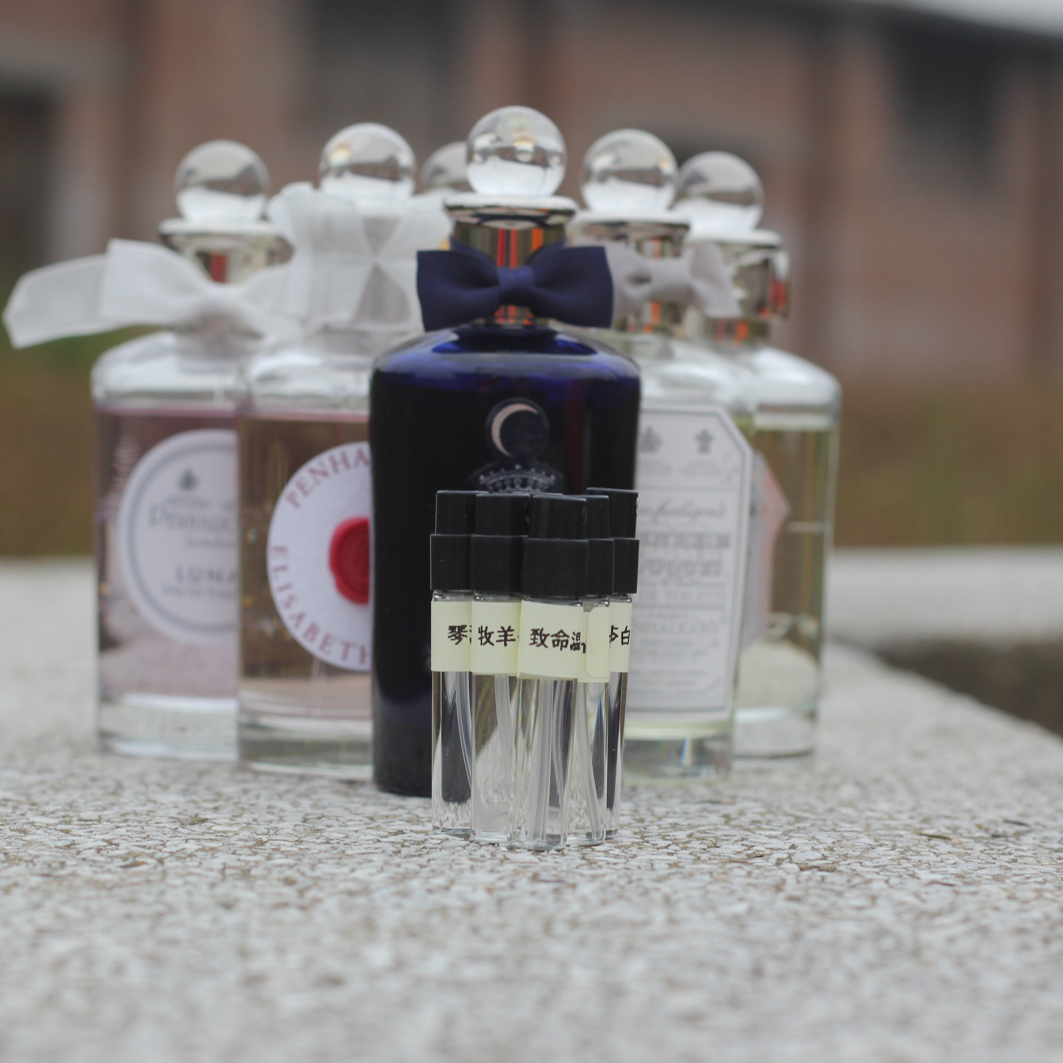 牧羊少年月亮女神琴酒致命温柔伊丽莎白白玫瑰布伦海姆花束中性香