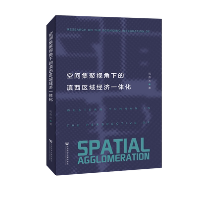 官方正版 空间集聚视角下的滇西区域经济一体化 和燕杰 著 文献综述与空间集聚视角下的理论逻辑 滇西北一体化 滇西南一体化