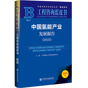 中国氢能产业发展报告（2025） 中国国际工程咨询有限公司 主编 社会科学文献出版社