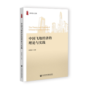 理论与实践 深圳学人文库 林更斌 现货 社会科学文献出版 中国飞地经济 主编 社 官方正版