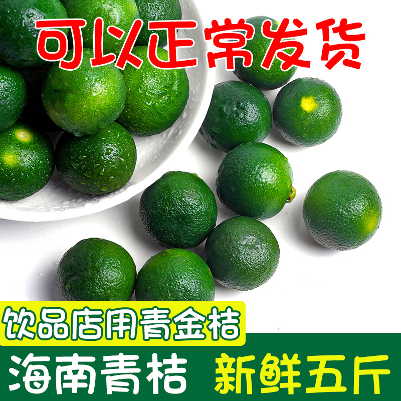 海南青金桔新鮮采摘5斤包郵小青桔小金橘小檸檬皮薄多汁壞果包賠