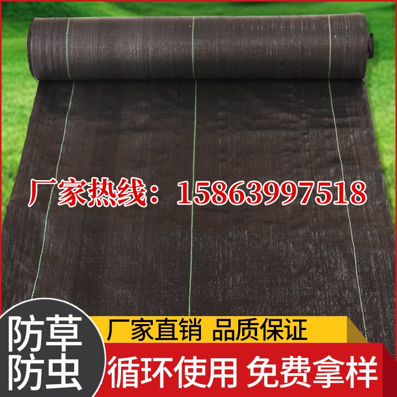 防草布除草布果园保湿布果树杂草除草垫布农用大棚地布除草坪布在类目 鲜花速递/花卉仿真/绿植园艺, 园艺用品, 其它园艺用品中 - 来自Buy2taobao.com提供专业的淘宝代购服务