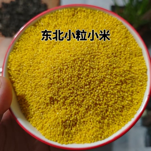 食用小米粮食小米粥黄小米东北特产5斤五谷杂粮可熬煮粥口感软糯