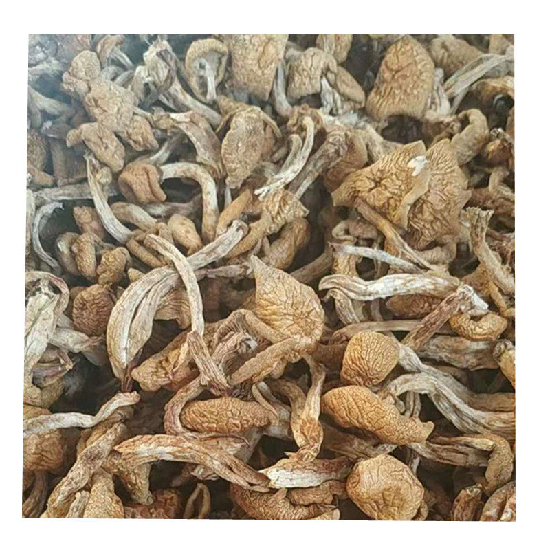 东北滑子菌菇小鸡炖蘑菇炖肉干货250g/500g非松树地小黄蘑菇香菇