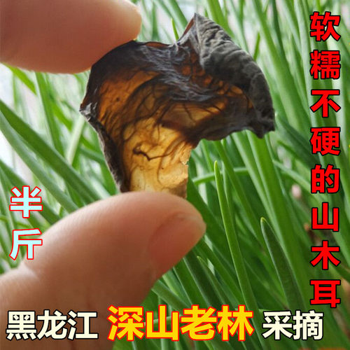 软糯无硫凉拌东北深野山生黑木耳