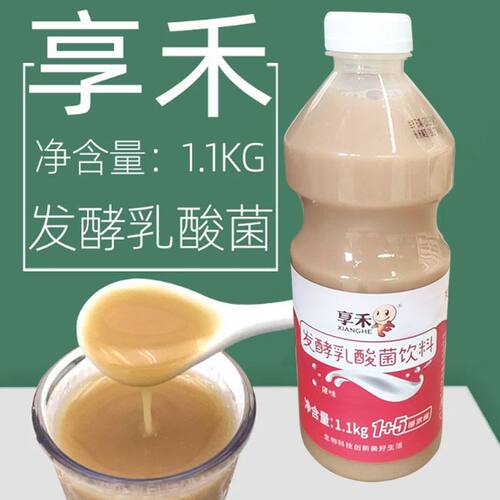 享禾发酵乳酸菌瓶装奶茶店商用