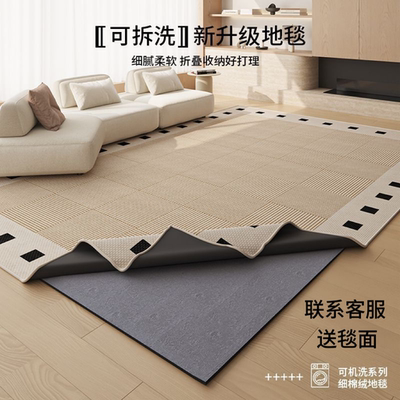 可拆洗地毯客厅卧室新升级防水毯