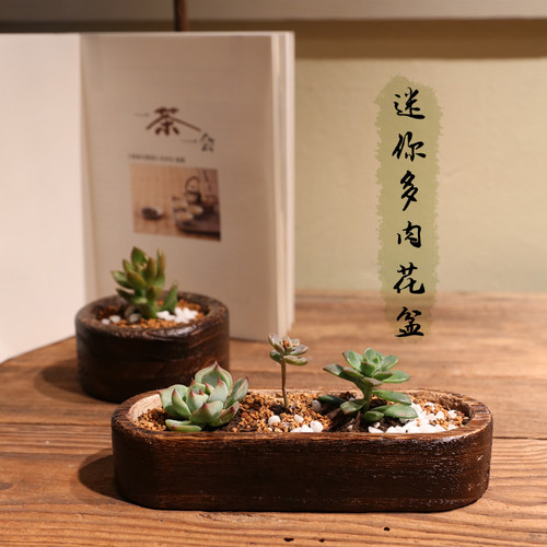 实木植物烧桐木多肉个性创意花盆