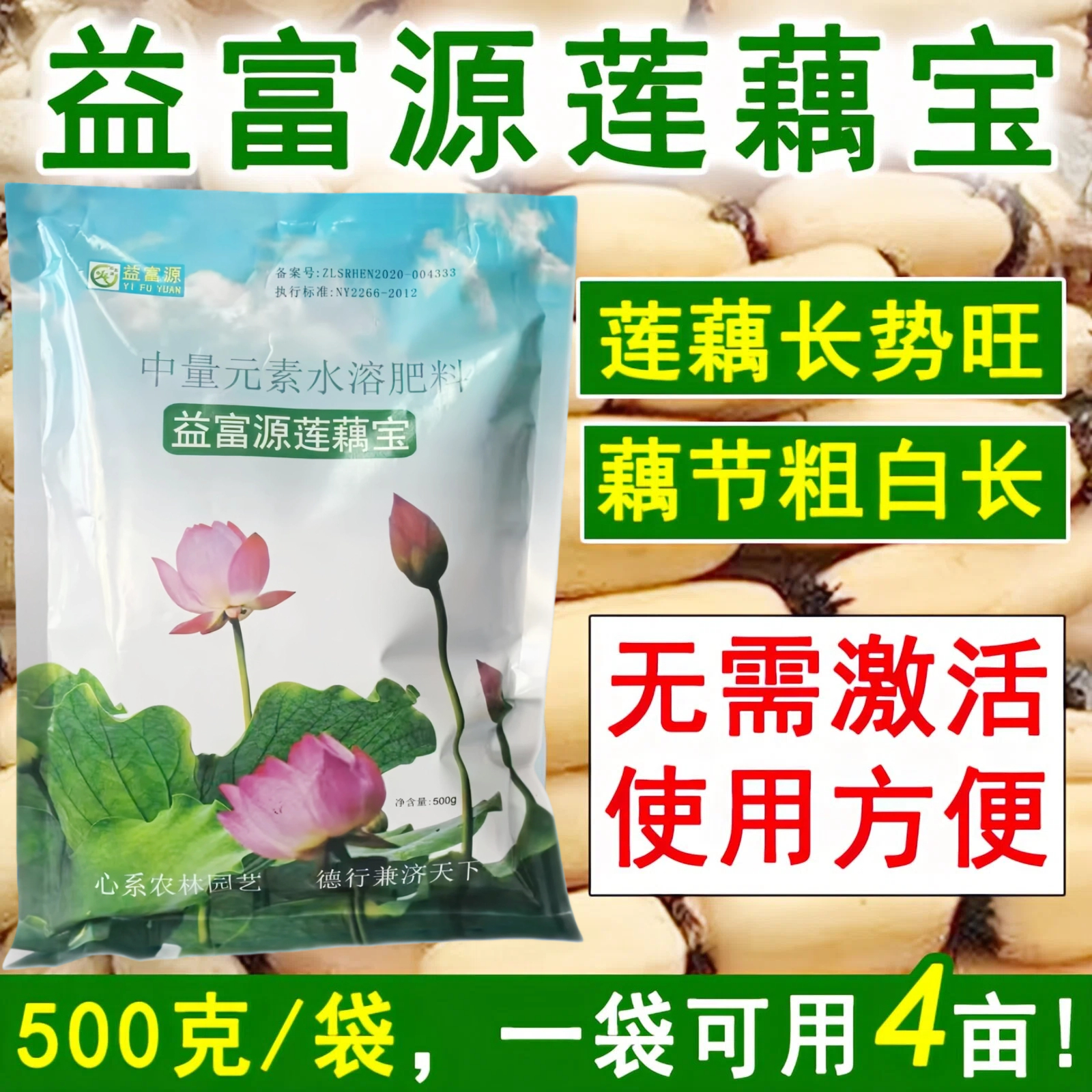 益富源莲藕宝种植莲藕藕带多少黄叶卷叶藕节膨大素叶面肥水溶肥