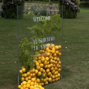 ins亚克力落地展示牌广告牌婚礼迎宾牌户外门口指引牌婚庆道具