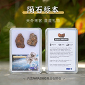 天然陨石顽火辉NWA2965原石保真科普标本星星收藏送礼球粒石陨石