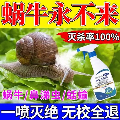 菜地杀蜗牛特效专用药灭蚧