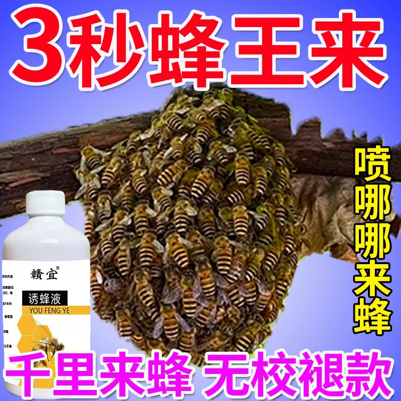 强力诱蜂液招蜂水专用香精蜂王
