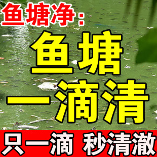 浮萍一扫光清除剂鱼塘水葫芦清理神器不伤鱼虾净水灵鱼缸除藻灭苔