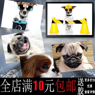 饰画相框壁画挂画墙画 狗沙皮狗小鹿犬顽皮宠物海报寝室书房客厅装