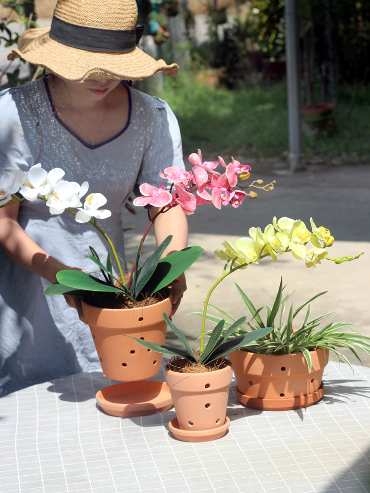 红陶花盆阳台吊挂泥瓦盆多孔粗陶大号吸水透气石斛蝴蝶兰园艺装饰