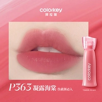 P363 Бегония конденсационная