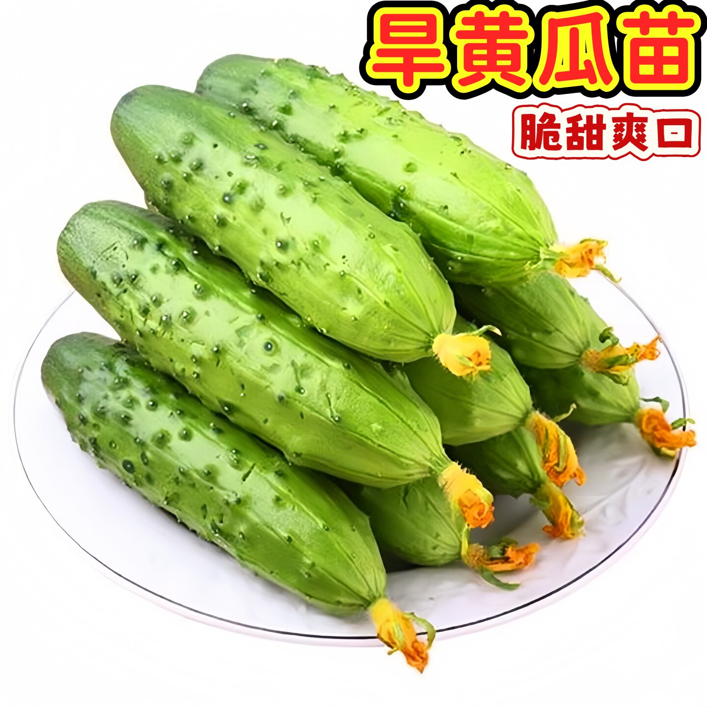 压趴架压塌架水果黄瓜秧苗旱黄瓜苗白黄瓜白玉黄瓜青黄瓜种苗包邮图片