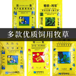 大力士甜高粱种子籽喂牛羊苜蓿菊苣黑麦草四季牲畜牧草养殖饲料孑