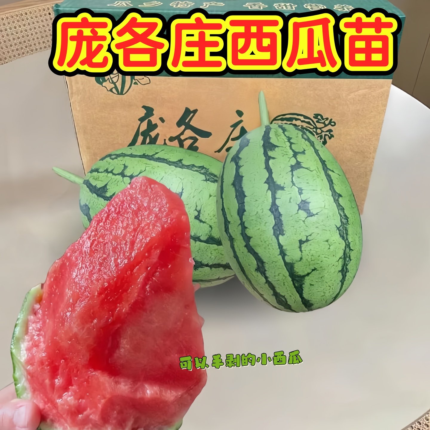 庞各庄西瓜苗高产冰糖懒人西瓜秧苗南方四季蔬菜水果种孑