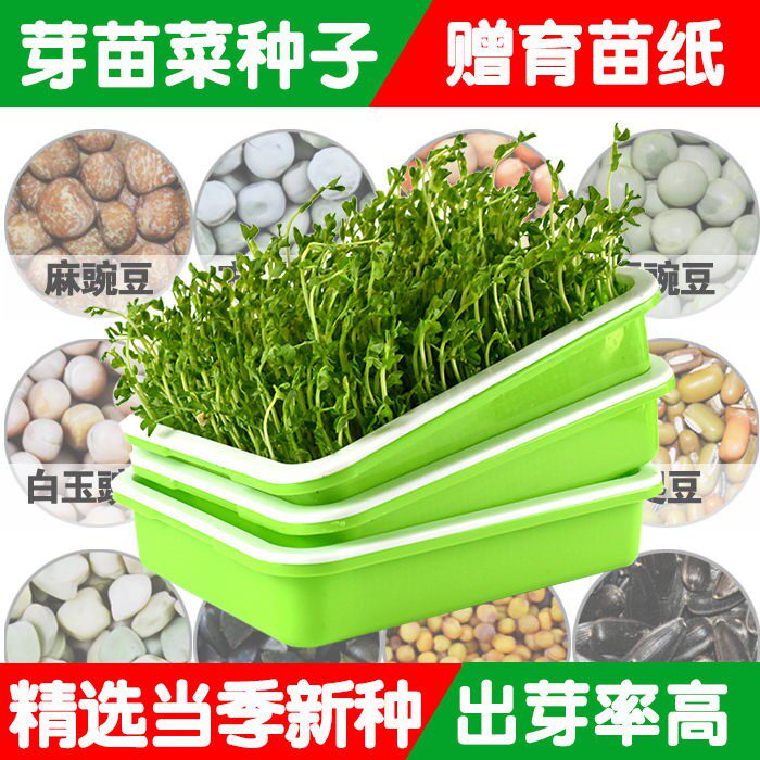 小麦草特价 天猫小麦草优惠券 淘宝小麦草优惠卷免费领取 白菜哦