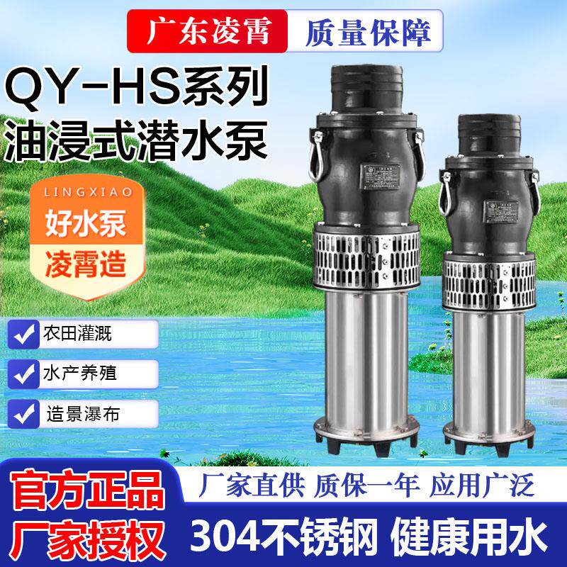 新款广东150QY100-6-3 200QY250-5-5.5油浸式潜水大流量包邮