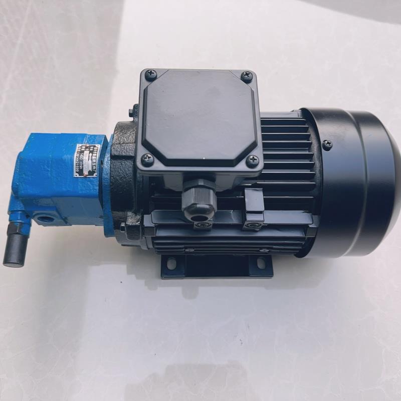 新款BB-B40Y1G摆线齿轮油泵电机BB-B63Y/B50Y调压泵Y1G/2G1滤包邮