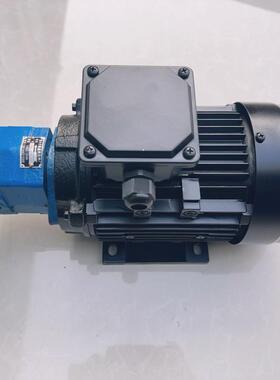 新款BB-B40Y1G摆线齿轮油泵电机BB-B63Y/B50Y调压泵Y1G/2G1滤包邮