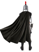 The cosplay costume of the characters from the same film and TV series as "The Odyssey" 5807 thumbnail 5