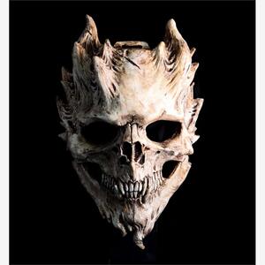 SkeletonuMasDhWarri骷