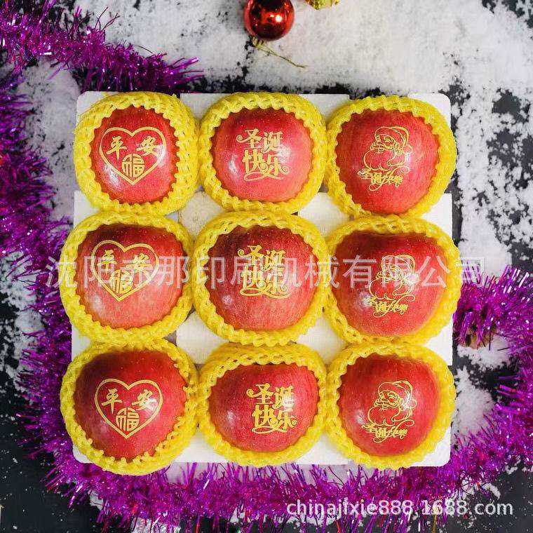 专业厂家生产印刷苹果印字机 打印刷设备