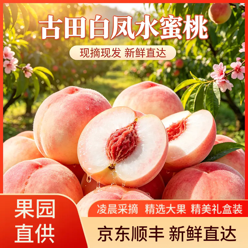正宗古田白凤桃水蜜桃子甜脆大桃子应季孕妇新鲜水果现摘礼果礼盒