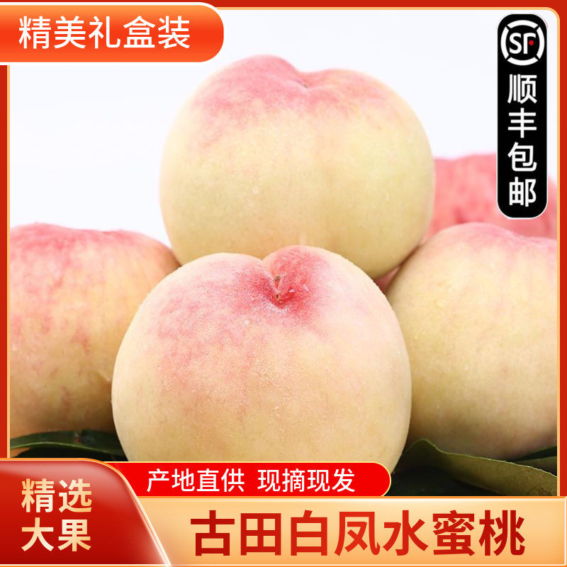 正宗古田白凤桃水蜜桃子甜脆桃应季孕妇新鲜水果现摘礼果顺丰速发